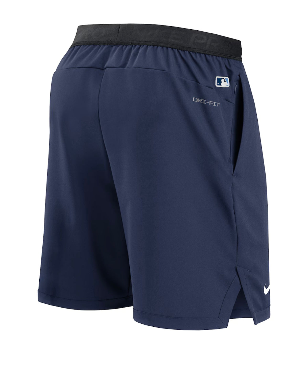 Pantalón corto MLB Tampa Bay Rays