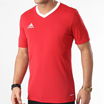 Camiseta Adidas Entrada 22