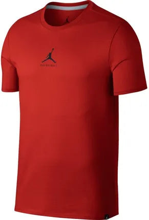 Camiseta Jordan 840394