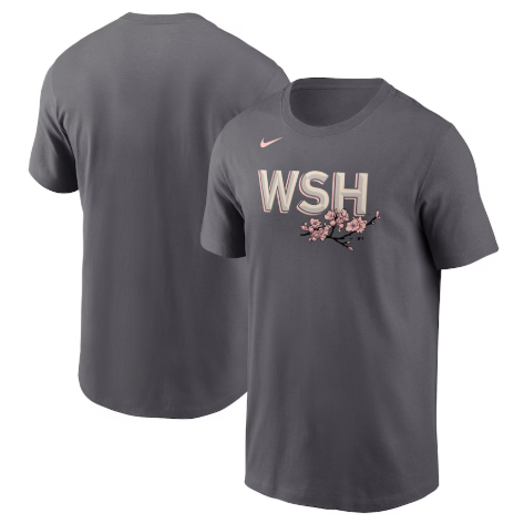Camiseta Nike Washington City Connect Adultos